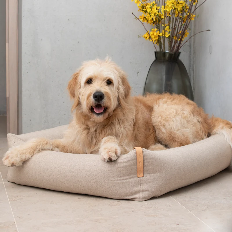 MOE Dog Bed