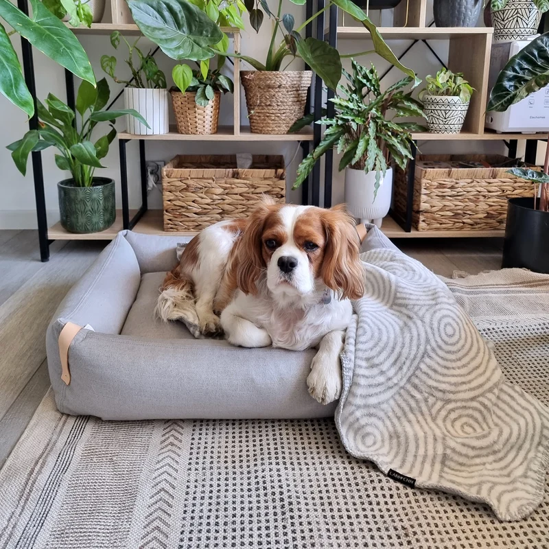MOE Dog Bed