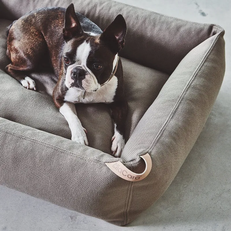 Sonno Box Dog Bed