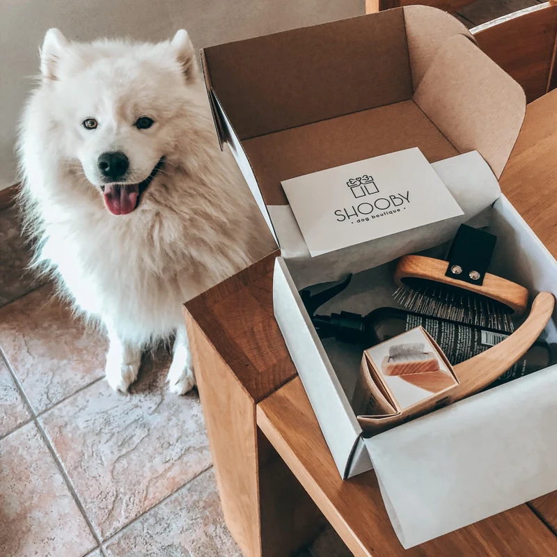 Goodbye Matted Dog Hair Bundle