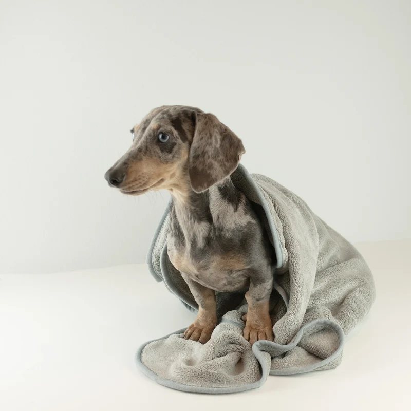 Lucky Hearts Hundehandtuch Dreckspatz