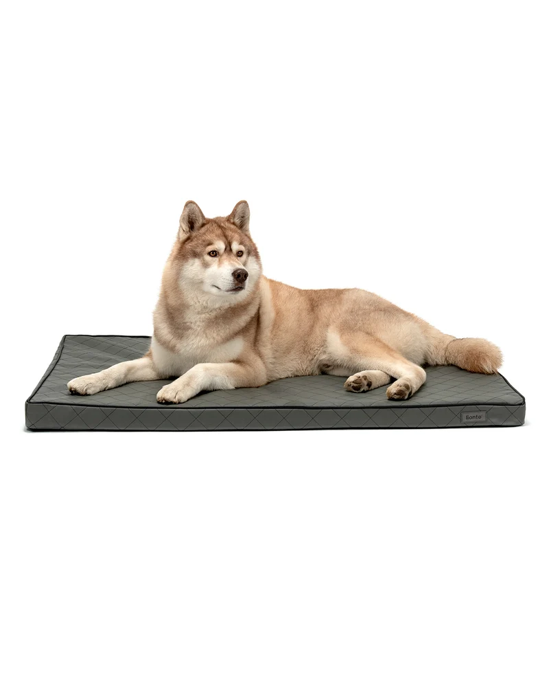 Orthopädische Hundematte