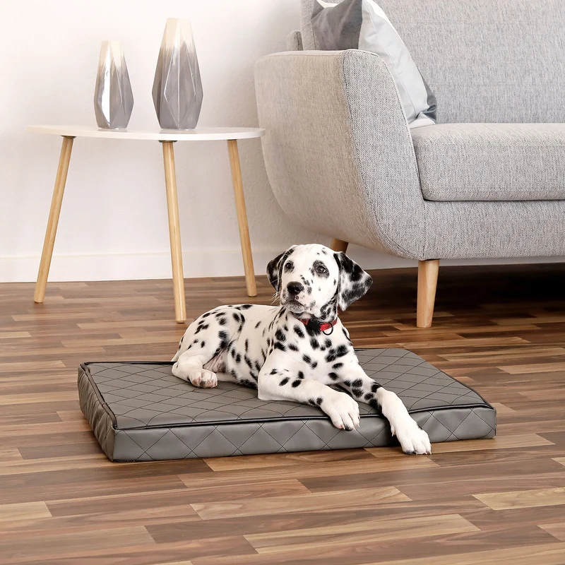 Orthopädische Hundematte