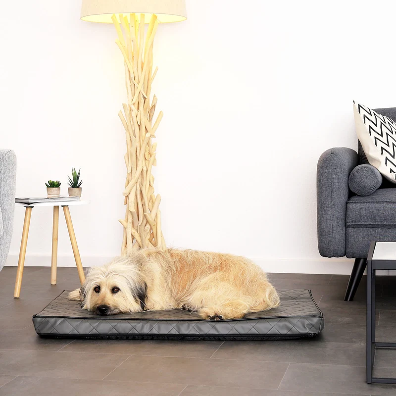 Orthopädische Hundematte