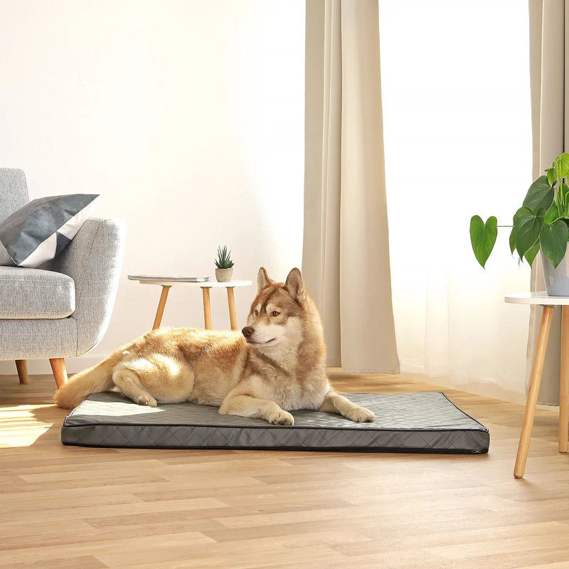 Orthopädische Hundematte