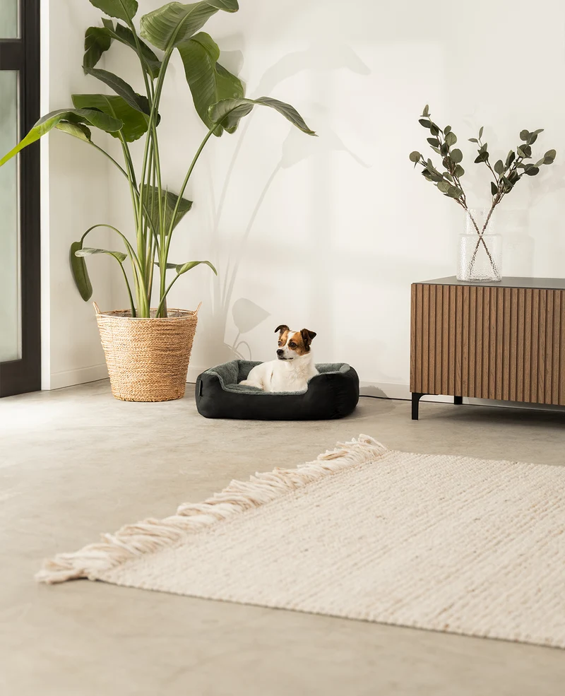 Hundebett mit Wendekissen