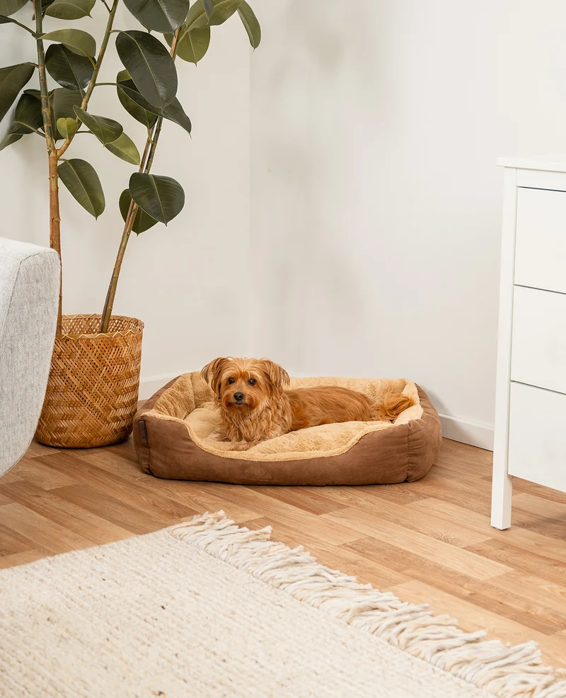 Hundebett mit Wendekissen
