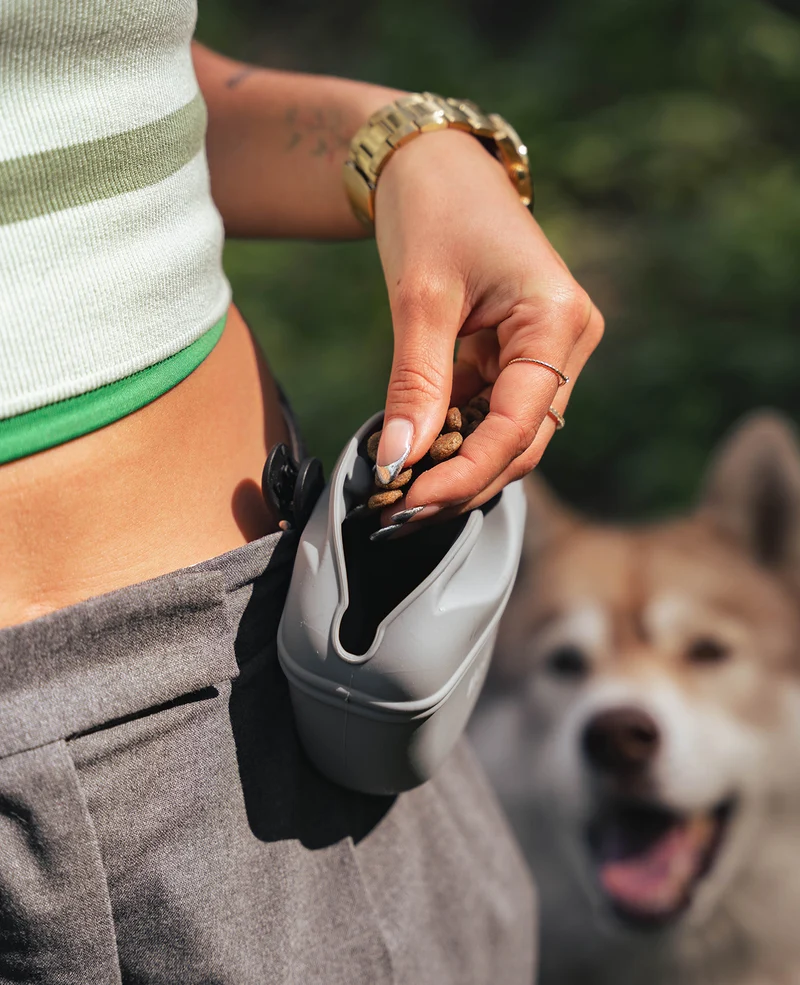 Hunde Futterbeutel aus Silikon mit Clip, 2er-Set