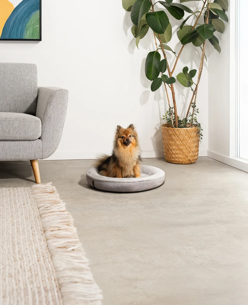 Rundes Hundebett in Donutform