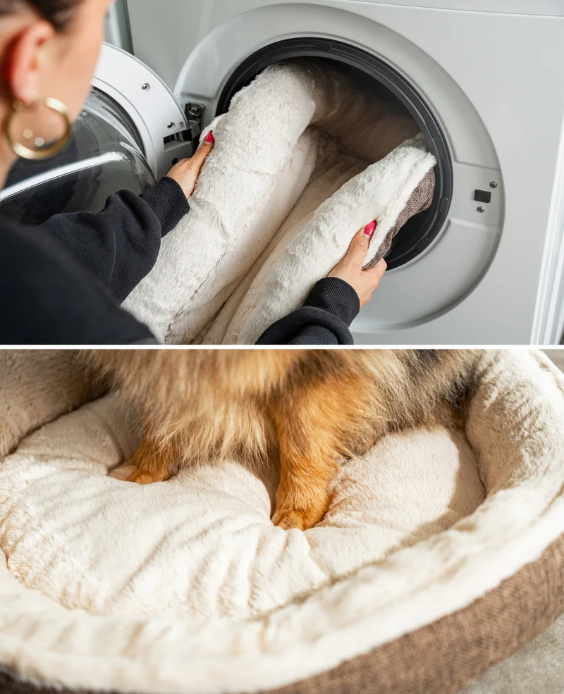 Rundes Hundebett in Donutform