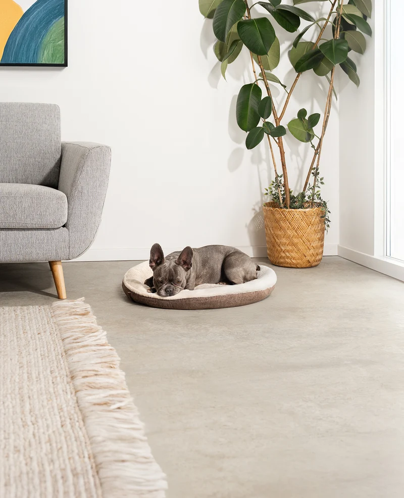 Rundes Hundebett in Donutform