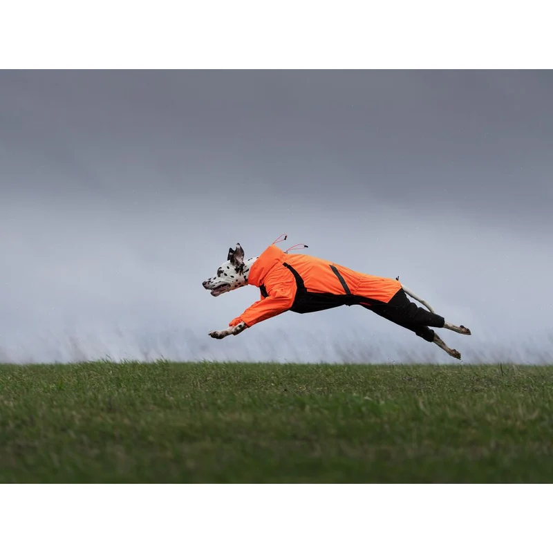 Non-stop Fjord overall raincoat