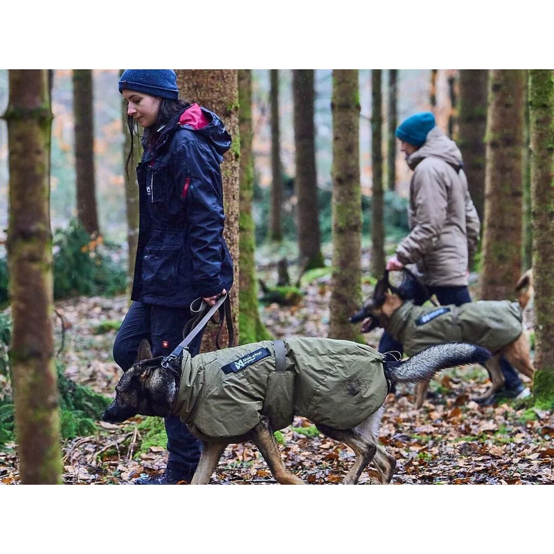 Non-stop Glacier dog jacket WD