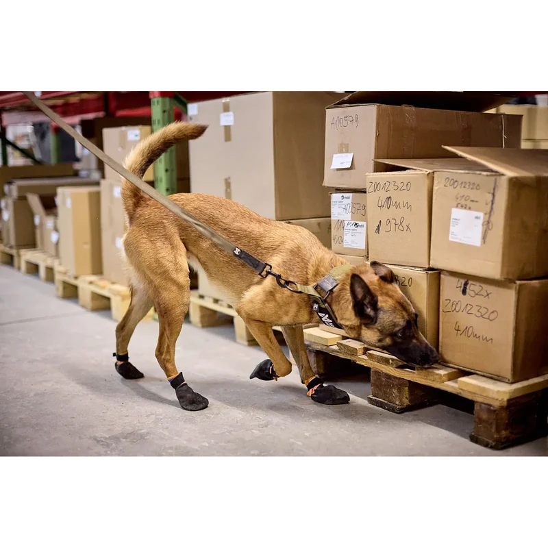 Non-stop Solid leash WD