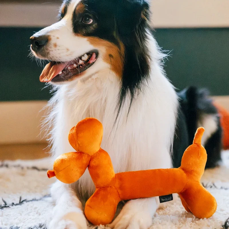 Hundespielzeug Balloon Buddy