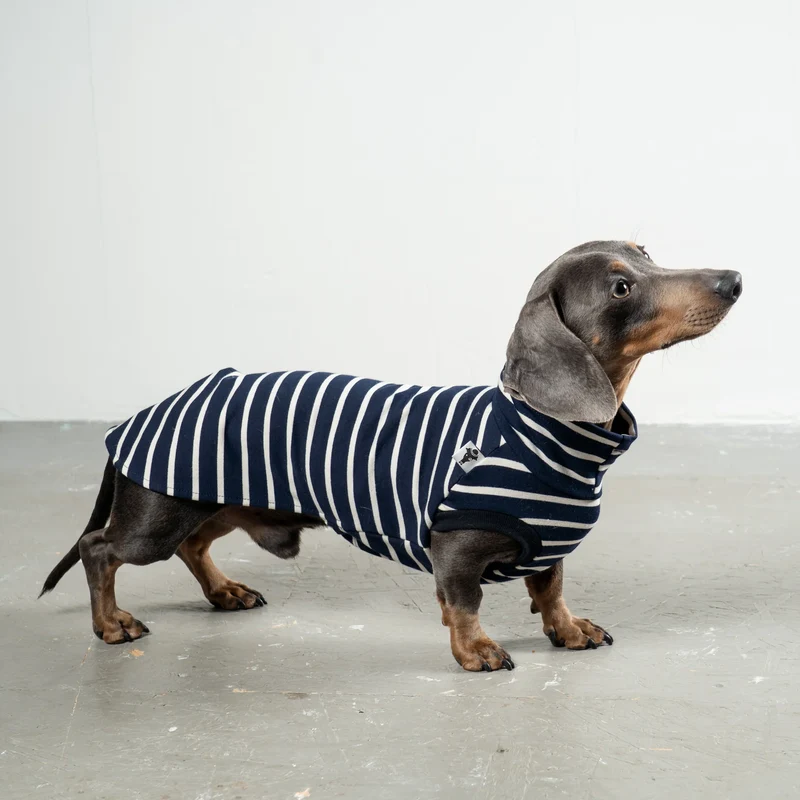 Cotton Shirt für Dackel Stripes Navy