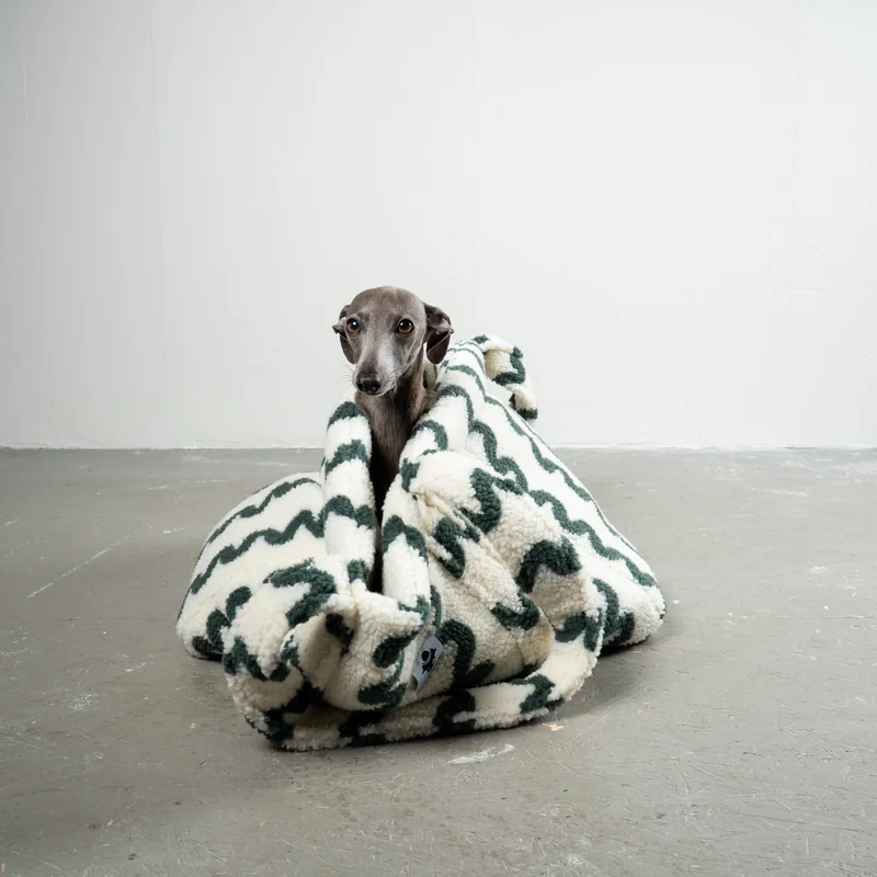 Hundetragetasche Teddy Shopper Forest Waves