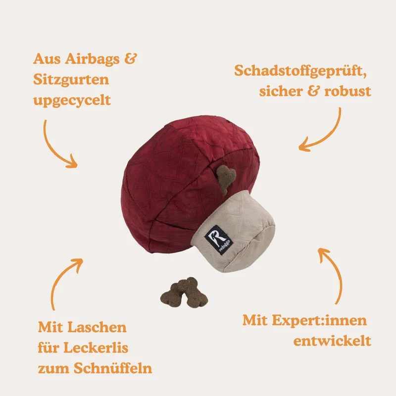 Redoggo Pilz