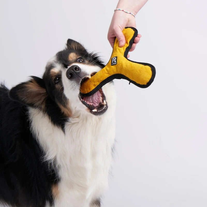 Redoggo Bumerang