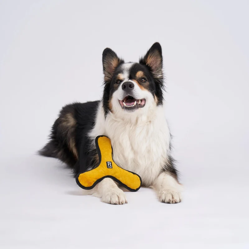 Redoggo Bumerang
