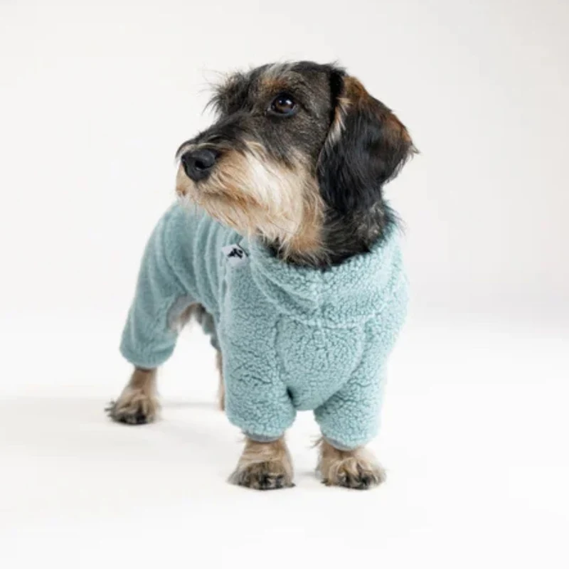 TEDDY Overall für Dackel Mint