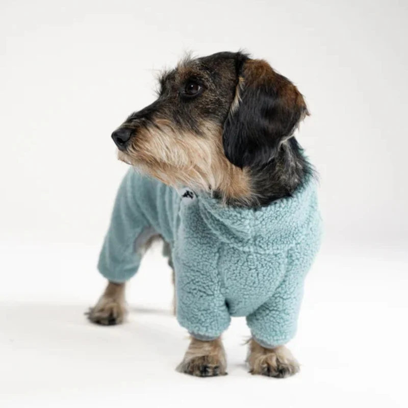 TEDDY Overall für Dackel Mint