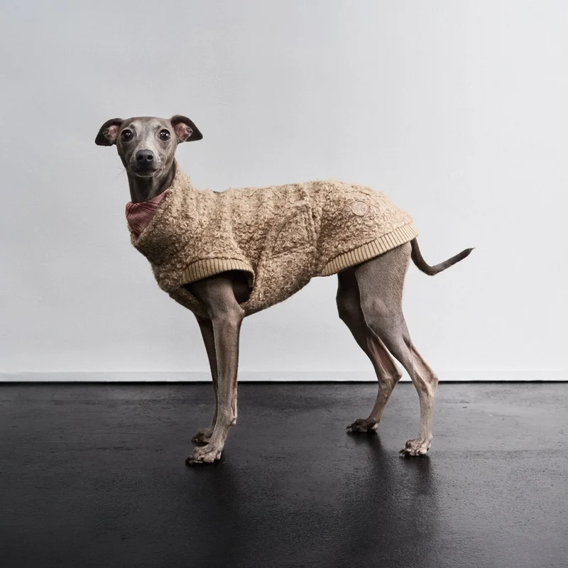 Hundepullover Gotland Sandy Brown