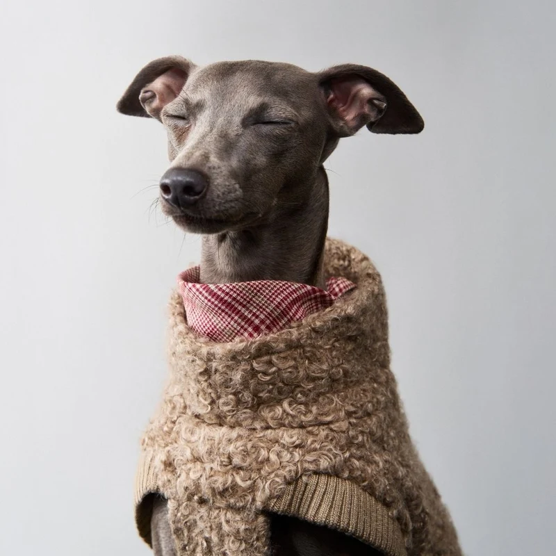 Hundepullover Gotland Sandy Brown