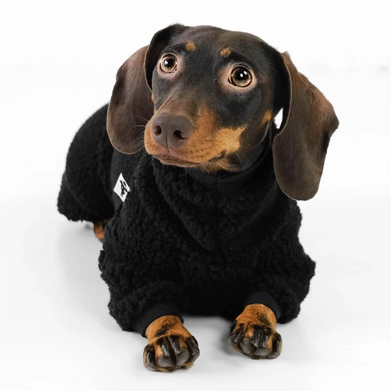 TEDDY Overall für Dackel Schwarz