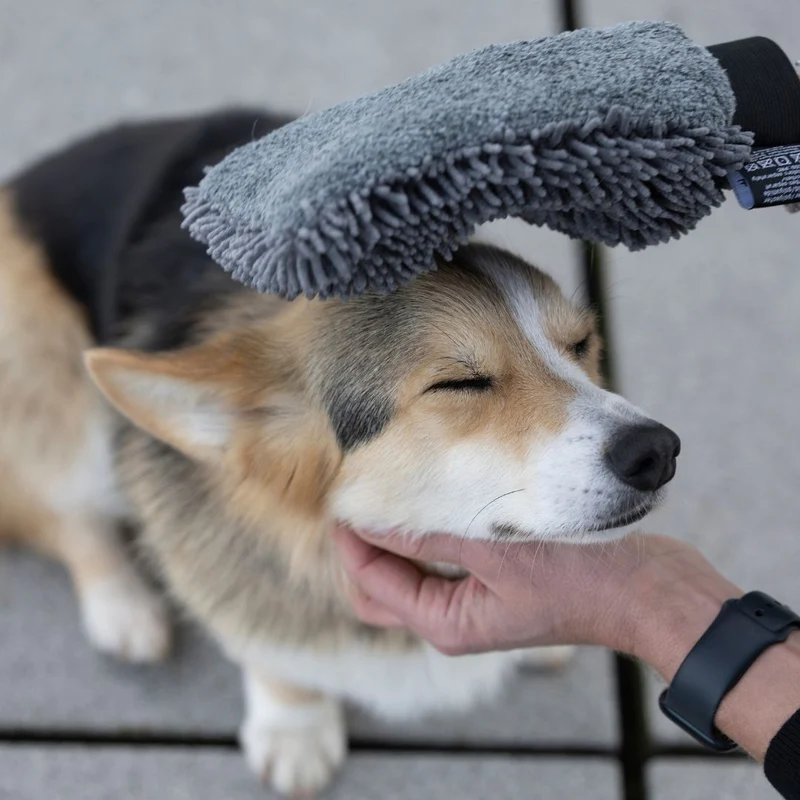 Hunde-Trockenhandschuh Quick Dry Graphit
