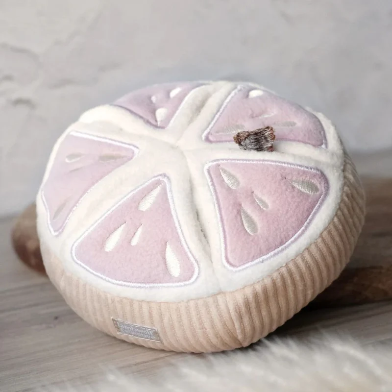 Schnüffelspielzeug Grapefruit