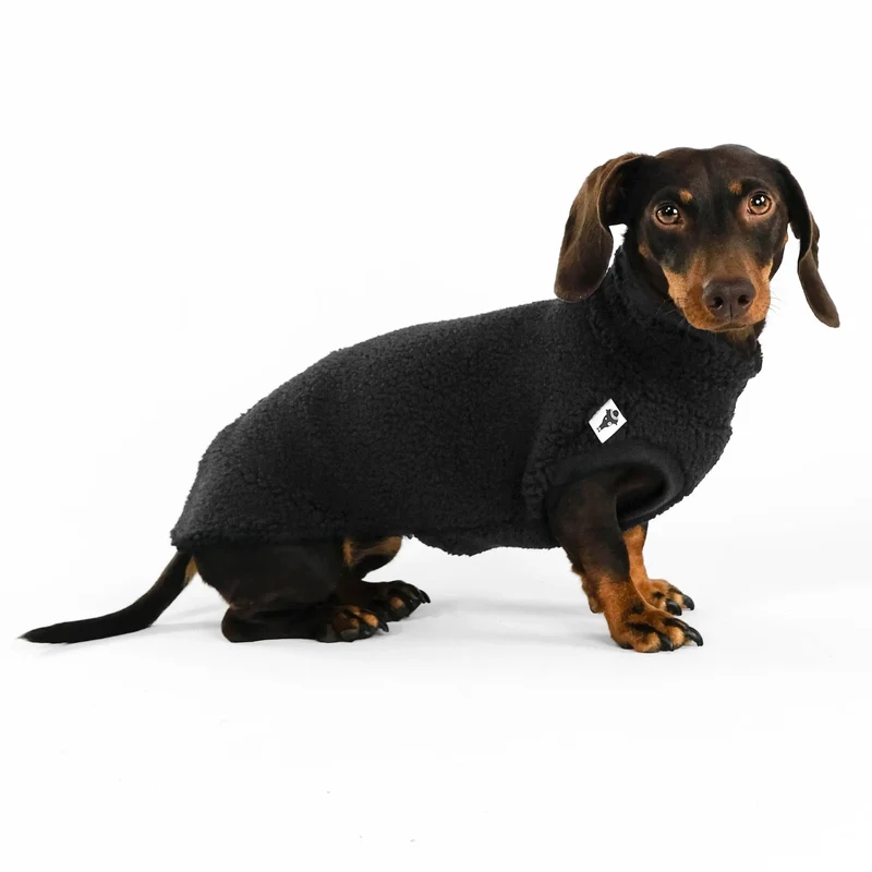 Teddy Shirt für Dackel Schwarz