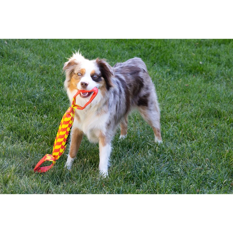 KONG Maxx Tug