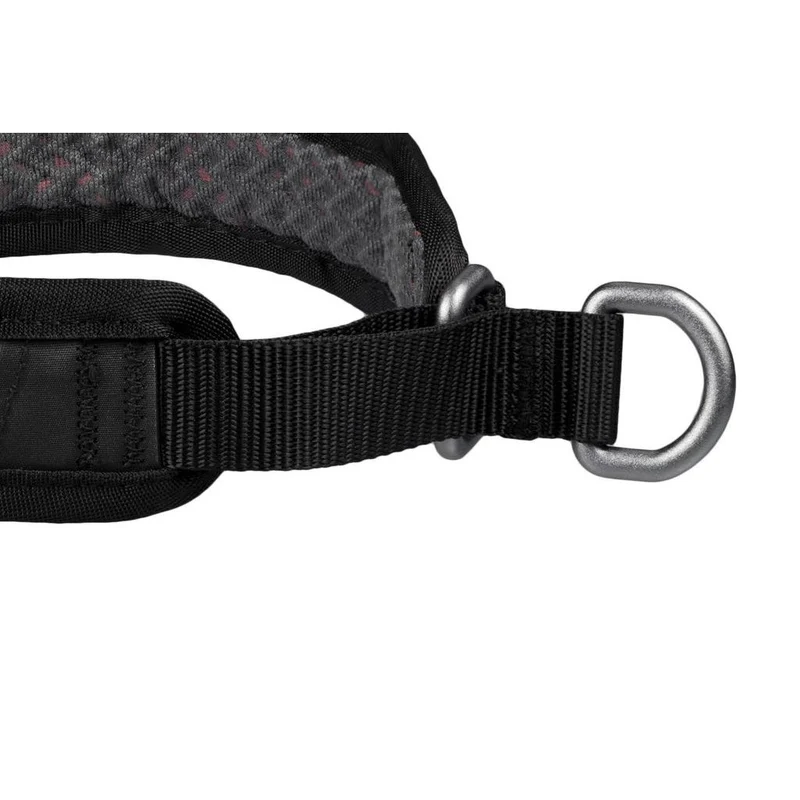 Non-stop Rock collar 3.0