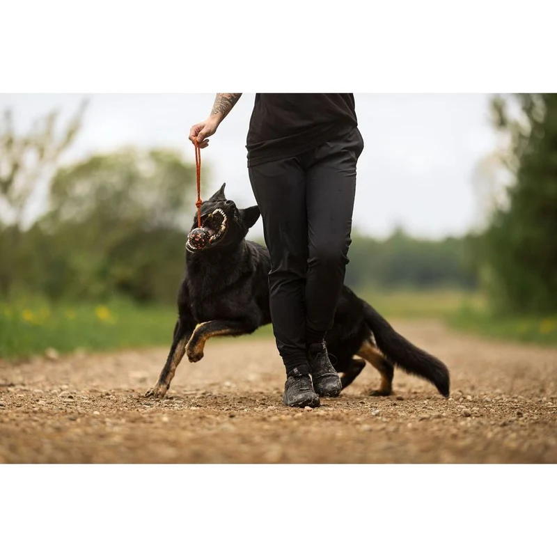 Non-stop Dog ball on rope