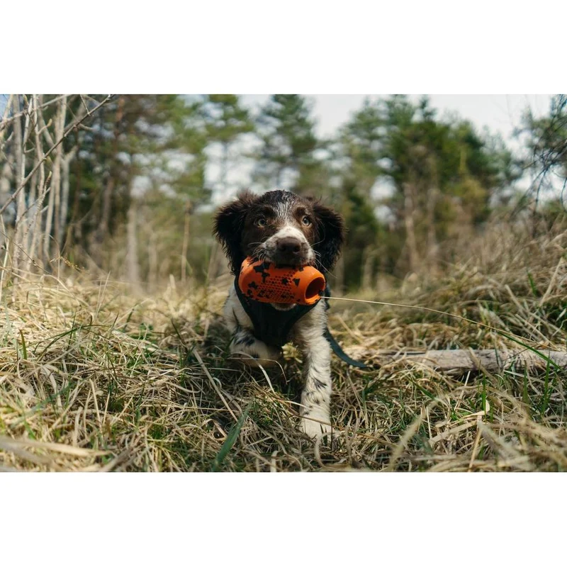 Non-stop Dog throw toy