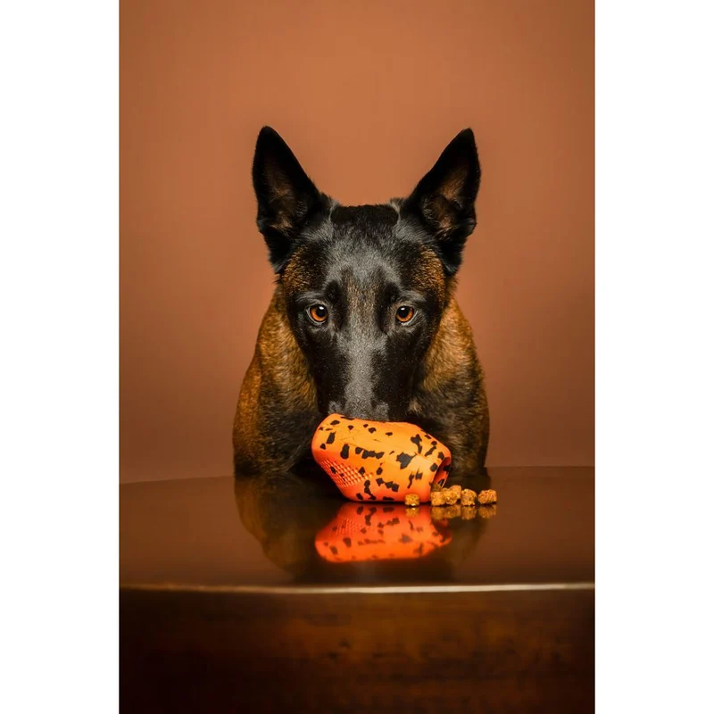 Non-stop Dog throw toy
