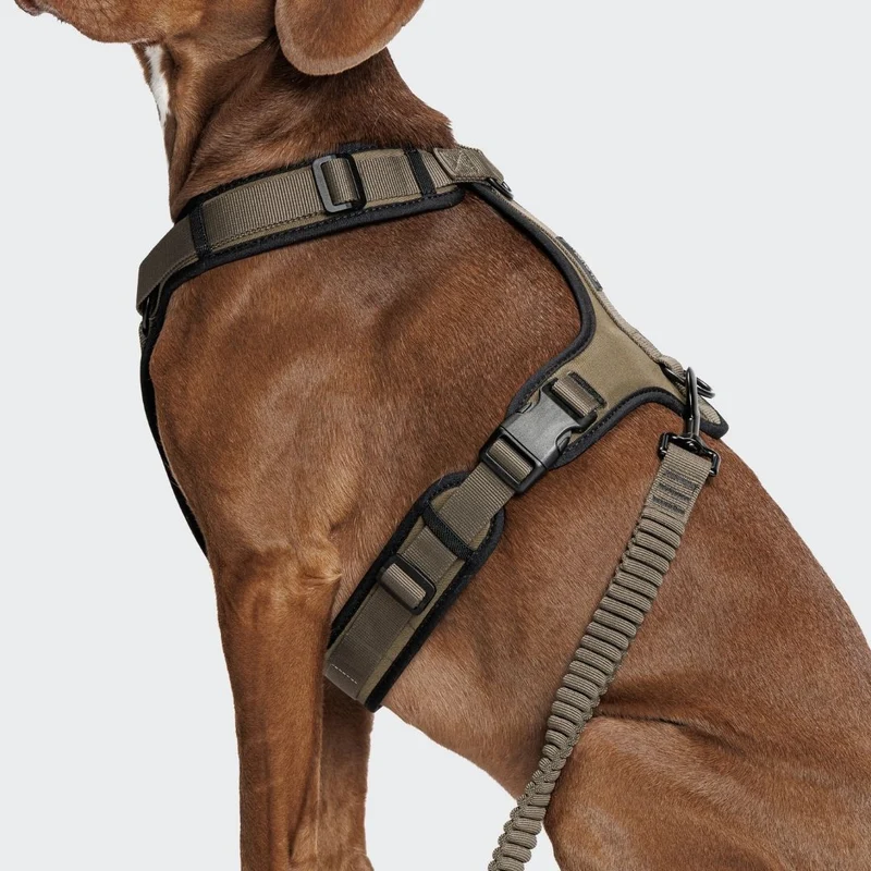 Y-3 Hundegeschirr AKTIV Softshell Olive