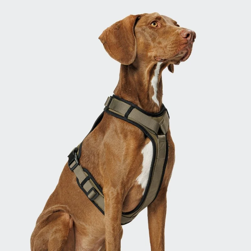 Y-3 Hundegeschirr AKTIV Softshell Olive