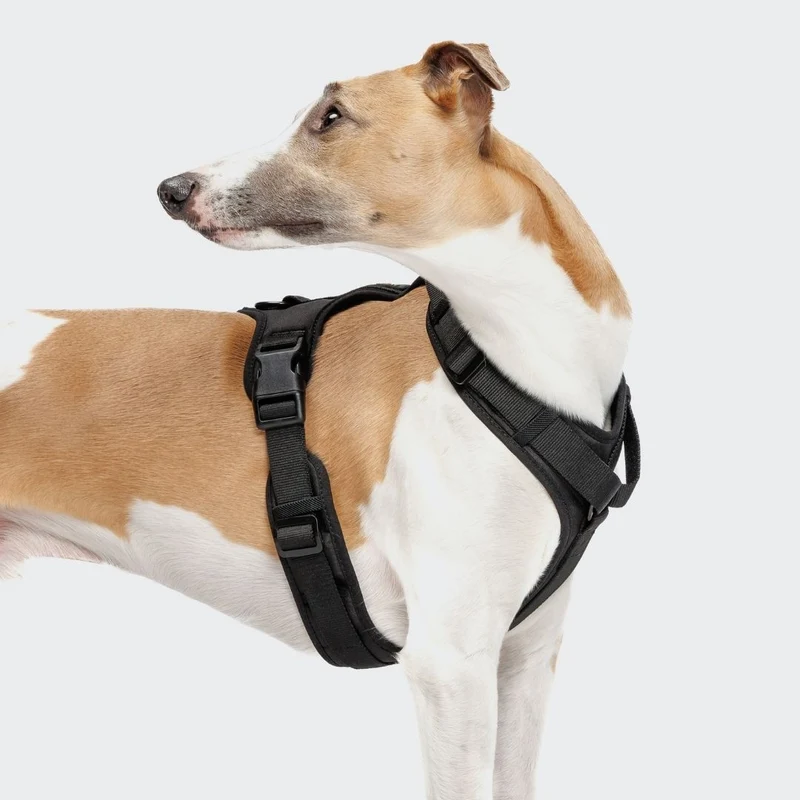 Y-3 Hundegeschirr AKTIV Softshell Black