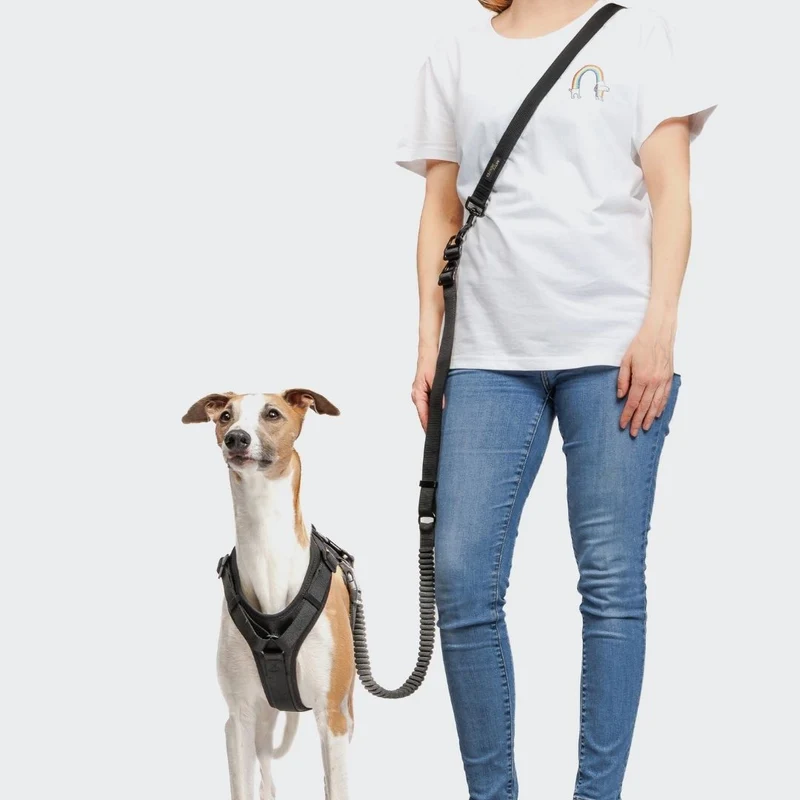 Y-3 Hundegeschirr AKTIV Softshell Black