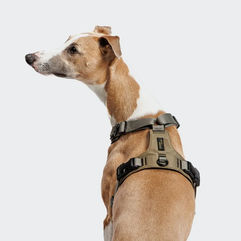 Y-2 Hundegeschirr AKTIV Cordura Khaki/Grey