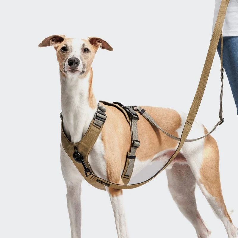 Y-2 Hundegeschirr AKTIV Cordura Khaki/Grey
