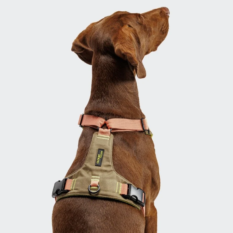 Y-2 Hundegeschirr AKTIV Cordura Khaki/Peach