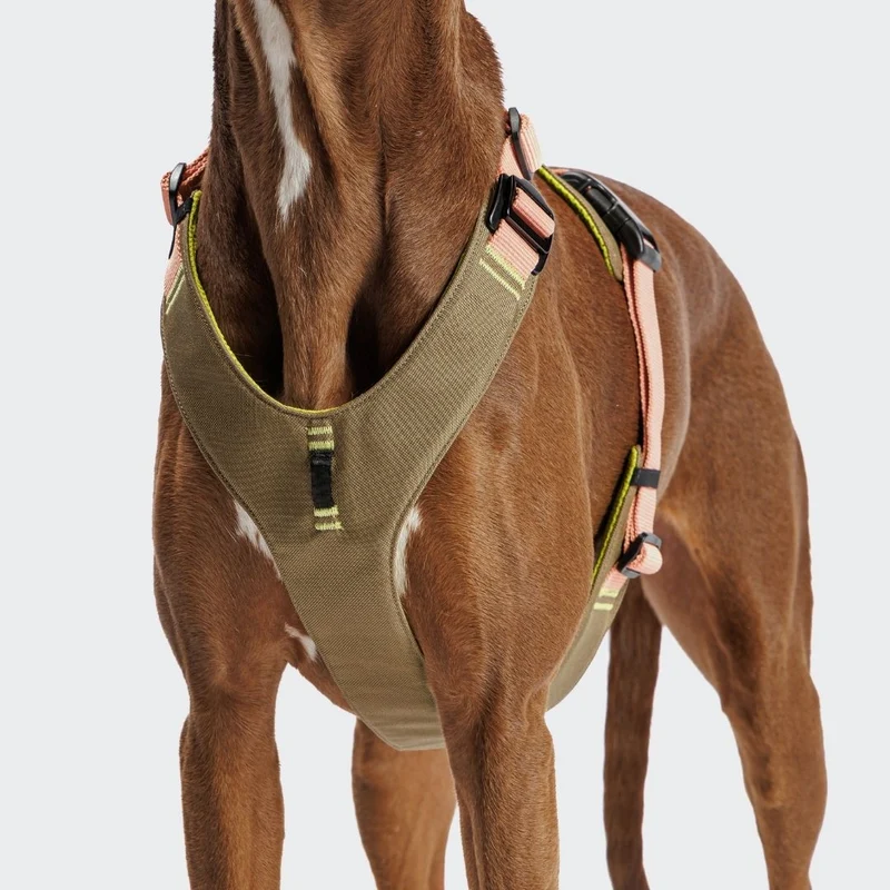 Y-2 Hundegeschirr AKTIV Cordura Khaki/Peach