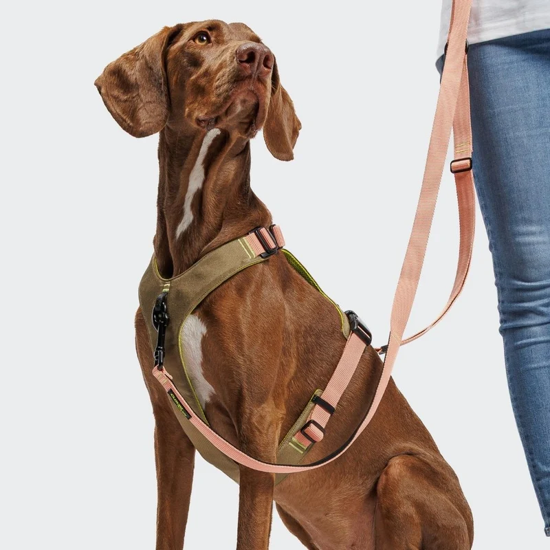 Y-2 Hundegeschirr AKTIV Cordura Khaki/Peach