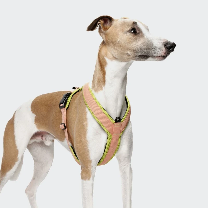 Y-1 Hundegeschirr AKTIV Air-Mesh Peach/Neon Green