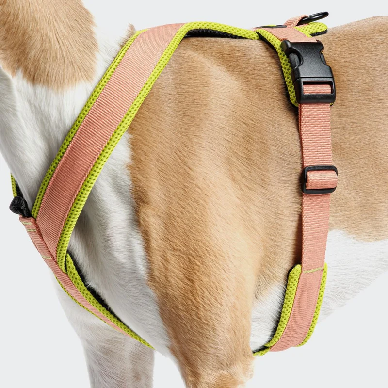 Y-1 Hundegeschirr AKTIV Air-Mesh Peach/Neon Green