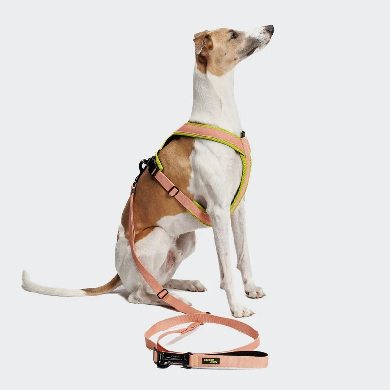 Y-1 Hundegeschirr AKTIV Air-Mesh Peach/Neon Green