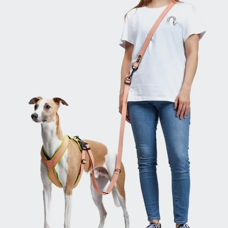 Y-1 Hundegeschirr AKTIV Air-Mesh Peach/Neon Green